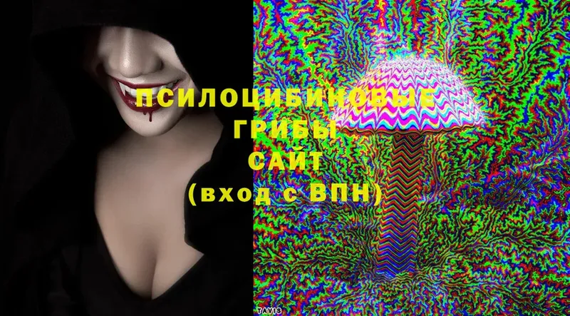 Галлюциногенные грибы Psilocybine cubensis  Заполярный 